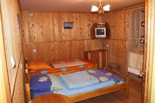 Гостевой дом Guest House Mandrivnyi Ясиня Стандартный двухместный номер с 1 кроватью или 2 отдельными кроватями-10