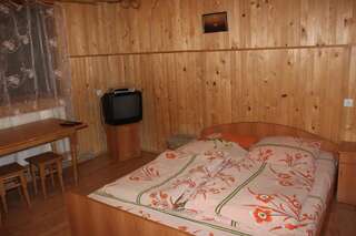 Гостевой дом Guest House Mandrivnyi Ясиня Стандартный двухместный номер с 1 кроватью или 2 отдельными кроватями-12